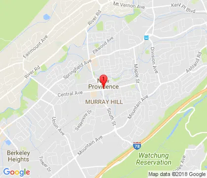 logo-image - new-providence-nj